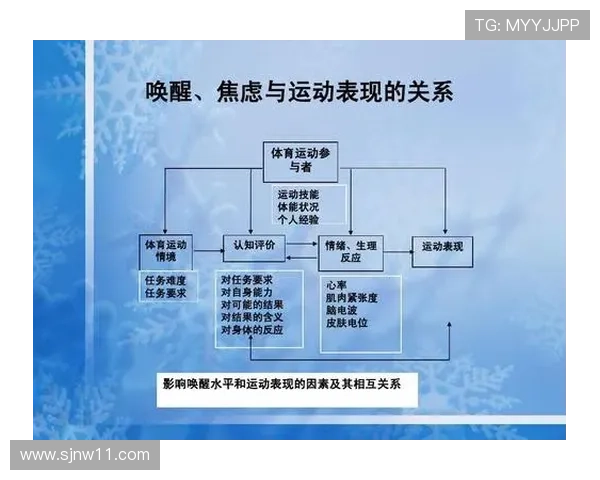 九州体育:探索中国传统体育文化的魅力与传承